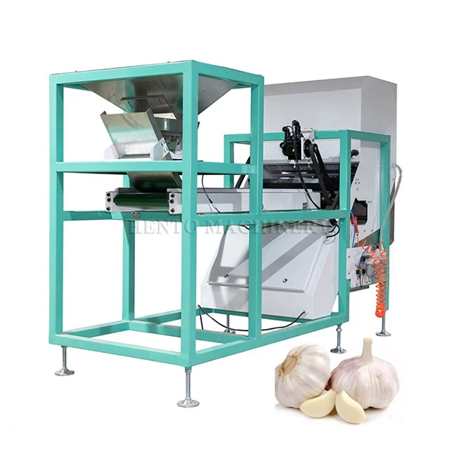 Garlic Color Sorting Machine
